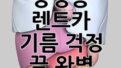 태백시 장성동 렌트카, 기름 걱정 끝! 완벽 가이드