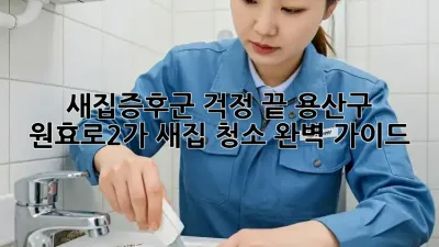 새집증후군 걱정 끝! 용산구 원효로2가 새집 청소 완벽 가이드